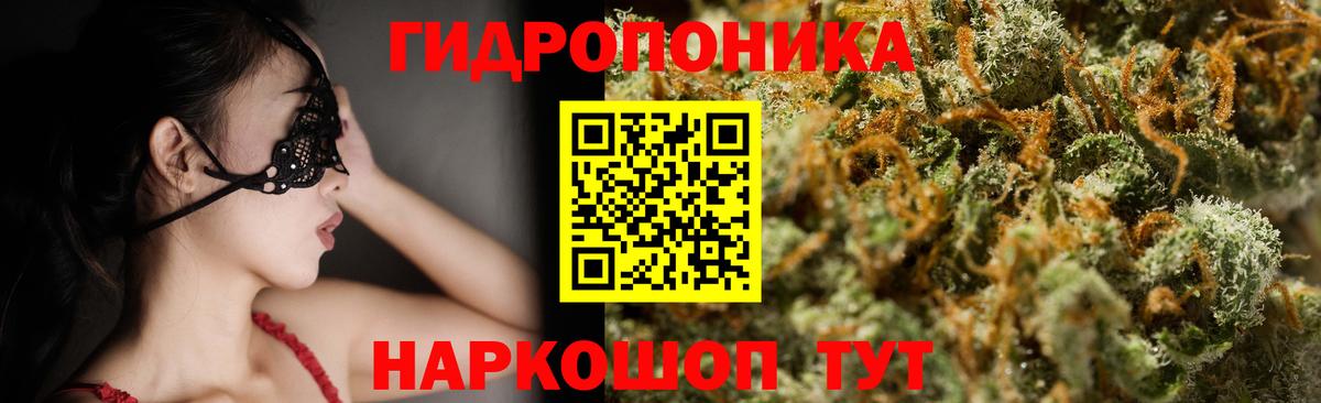 МАРИХУАНА Bruce Banner  Конопля ГИДРОПОН  Канабис индика  Батайск  Вход с VPN 